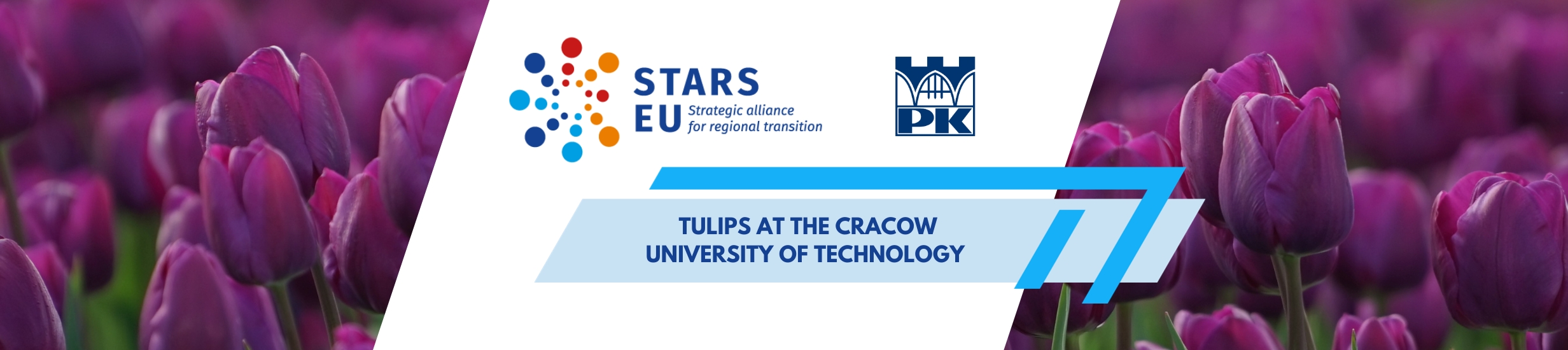 Dutch tulips at the Cracow University of Technology as a symbol of cooperation within STARS EU  