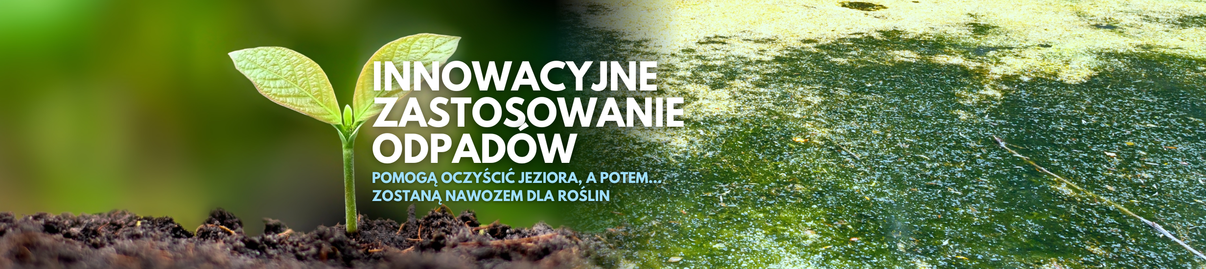 Odpady oczyszczą jeziora, a potem zostaną nawozem dla roślin