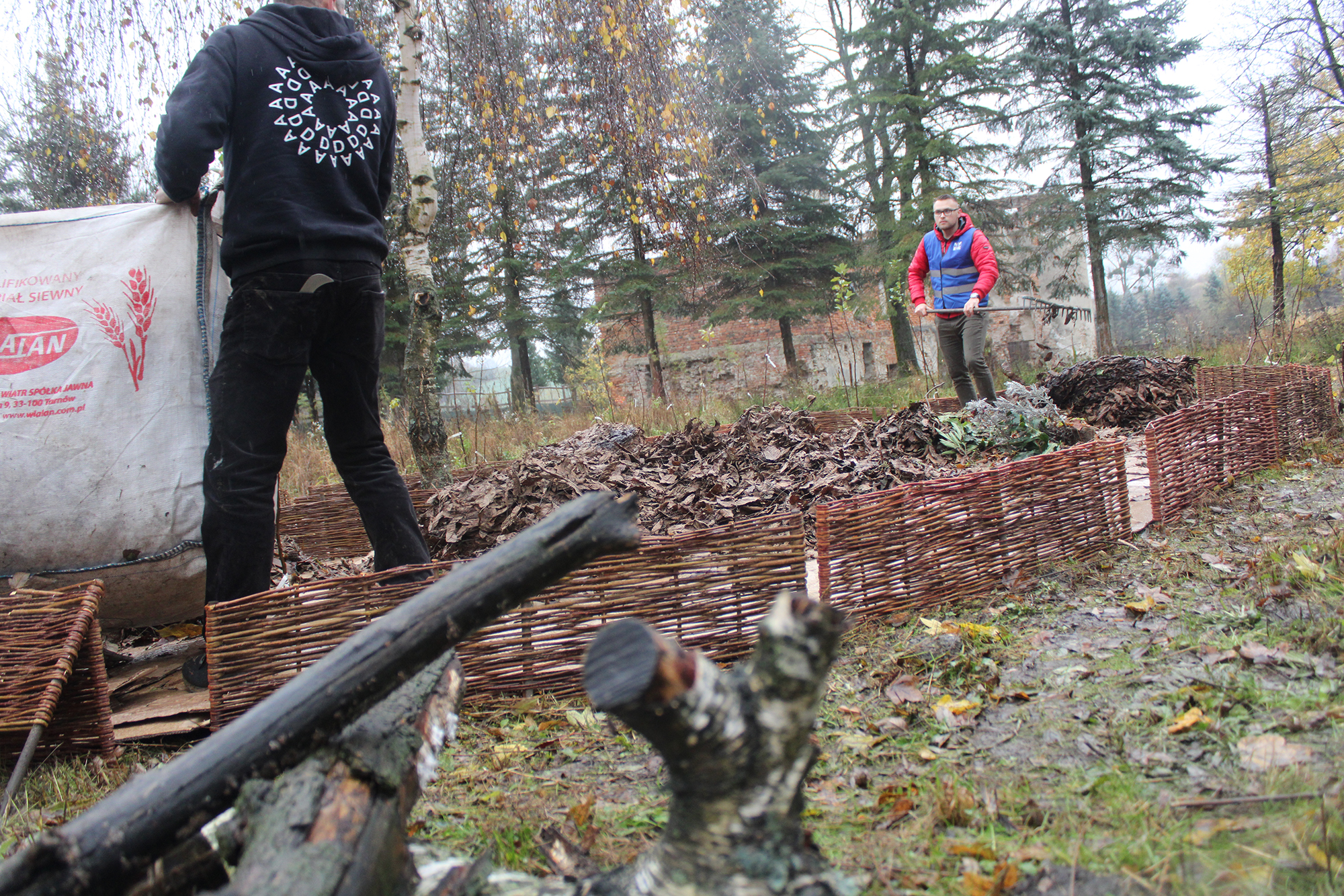 Pracownicy fundacji oraz studenci PK wysypują liście w glebarium