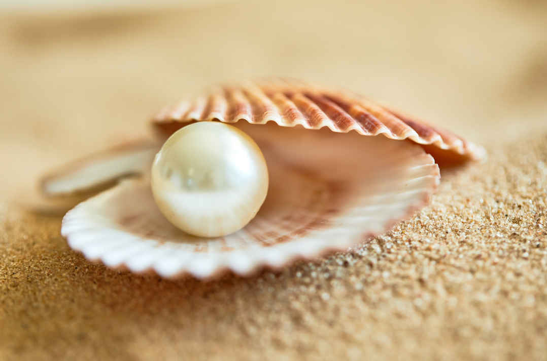 Obrazek przedstawia muszlę z perłą w środku