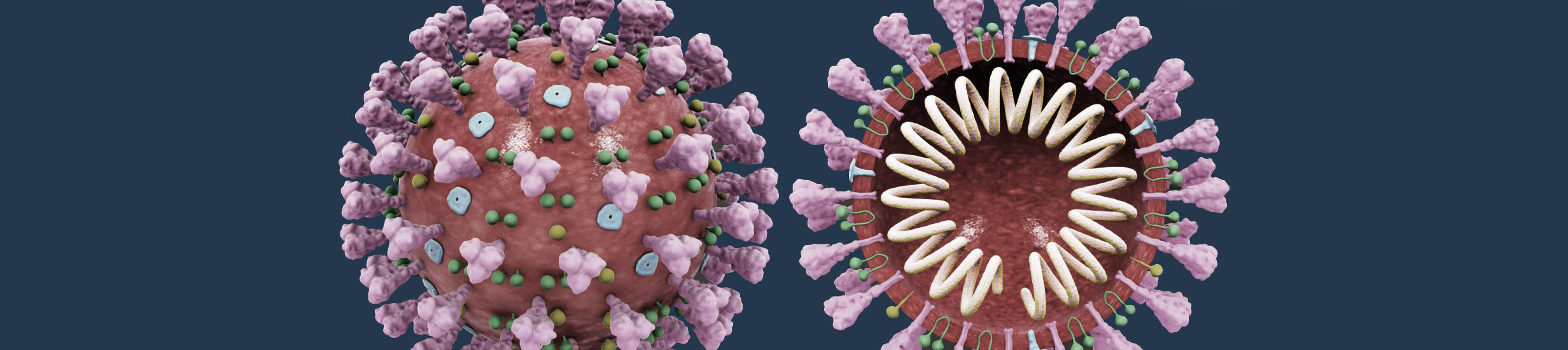 Aktualne informacje w związku z przeciwdziałaniem rozprzestrzenianiu się wirusa SARS-CoV-2 na PK